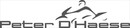 Logo Peter D' Haese nv